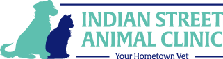 Indian Street Animal Clinic