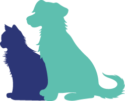 Indian Street Animal Clinic